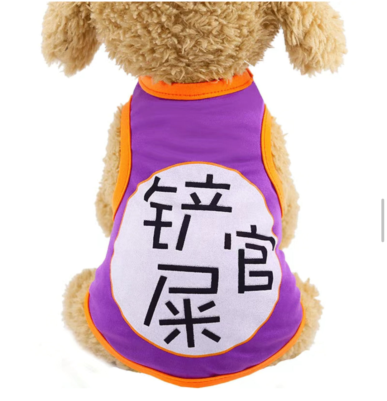 Cartoon Vest