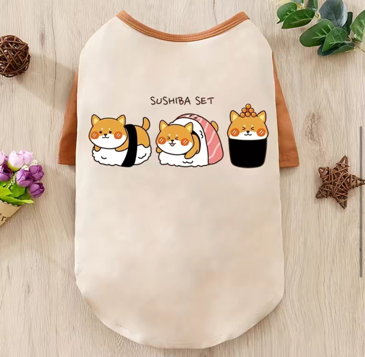 Sushiba Anime Hoodie