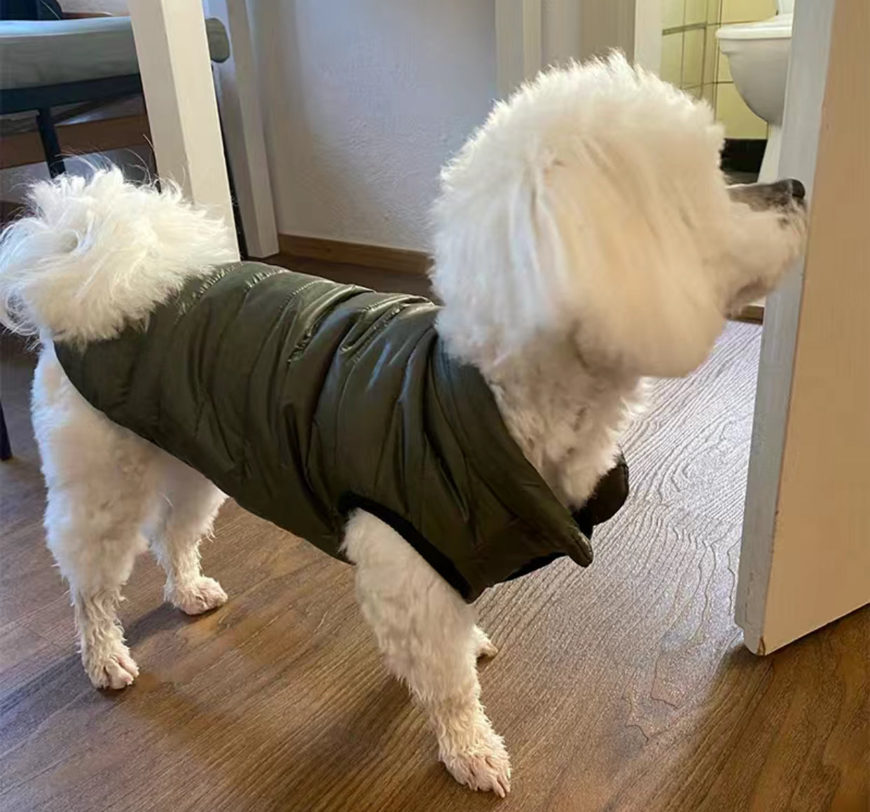 Winter Vest