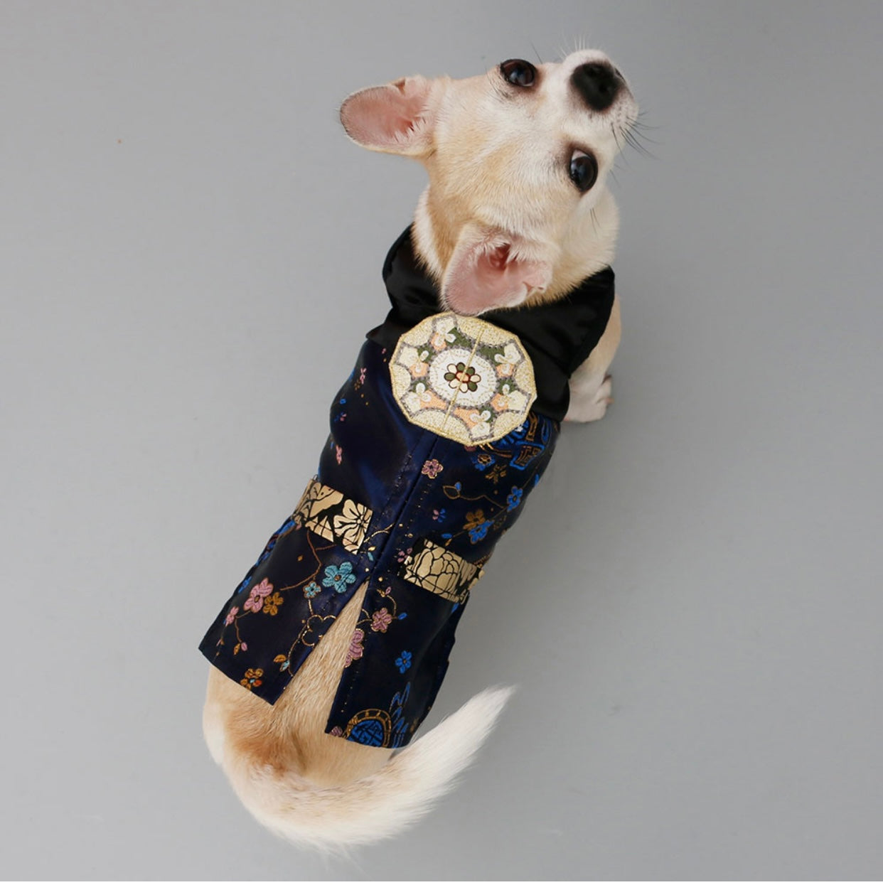 Premium Korean Traditional Hanbok Suit for Dogs (Dark Blue)
