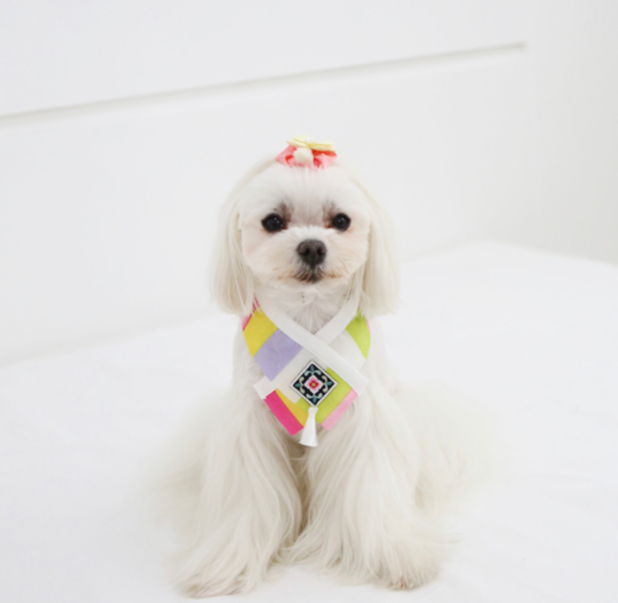 Hanbok Neck Cape (Pink)