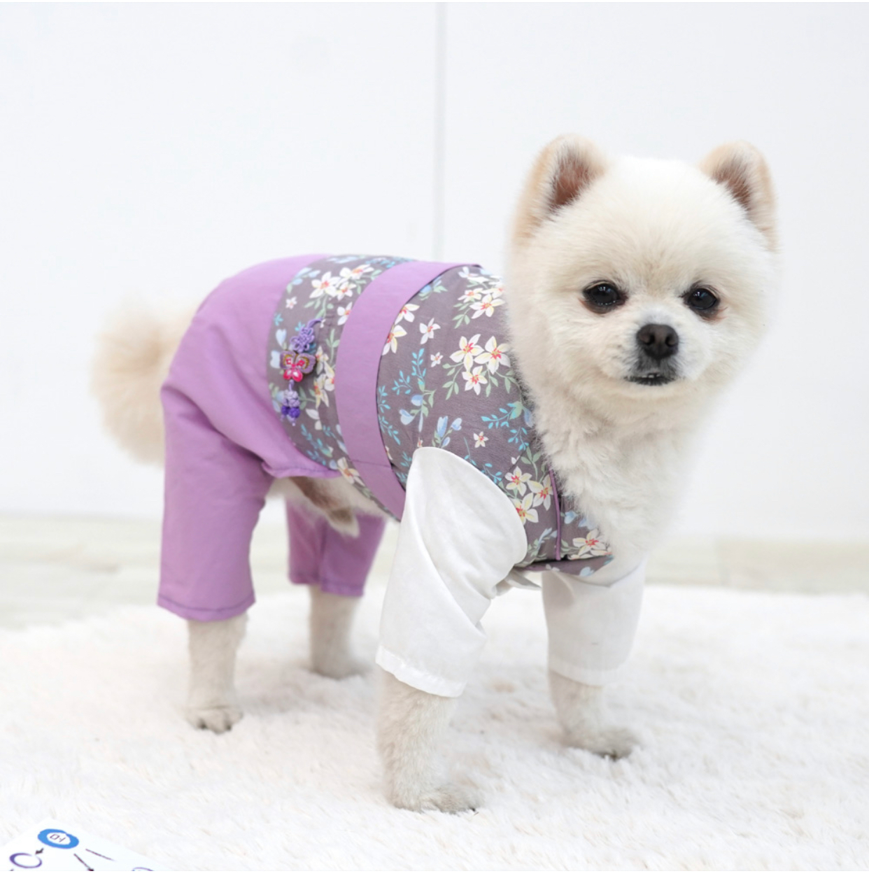 Hanbok Pant Suit