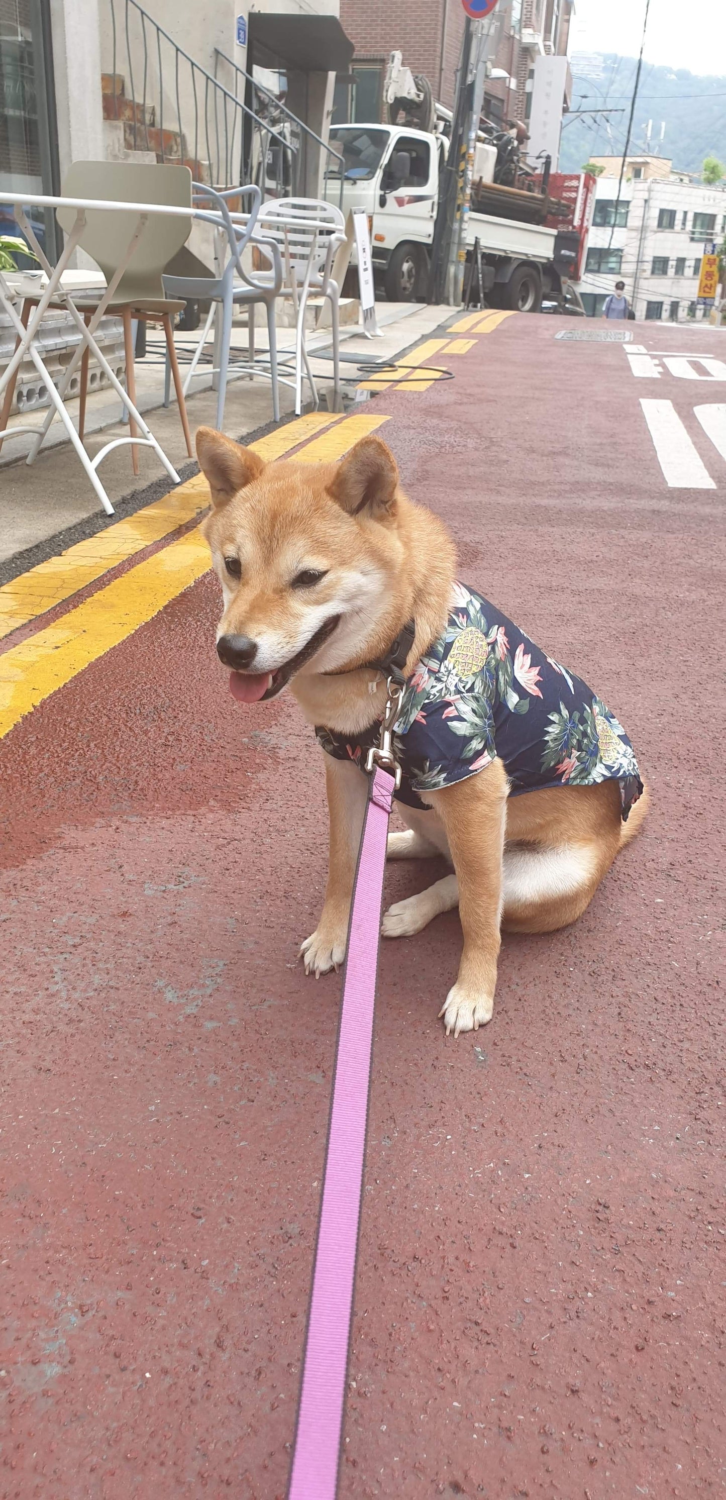 Blue Tropical Hawaiian Shirt