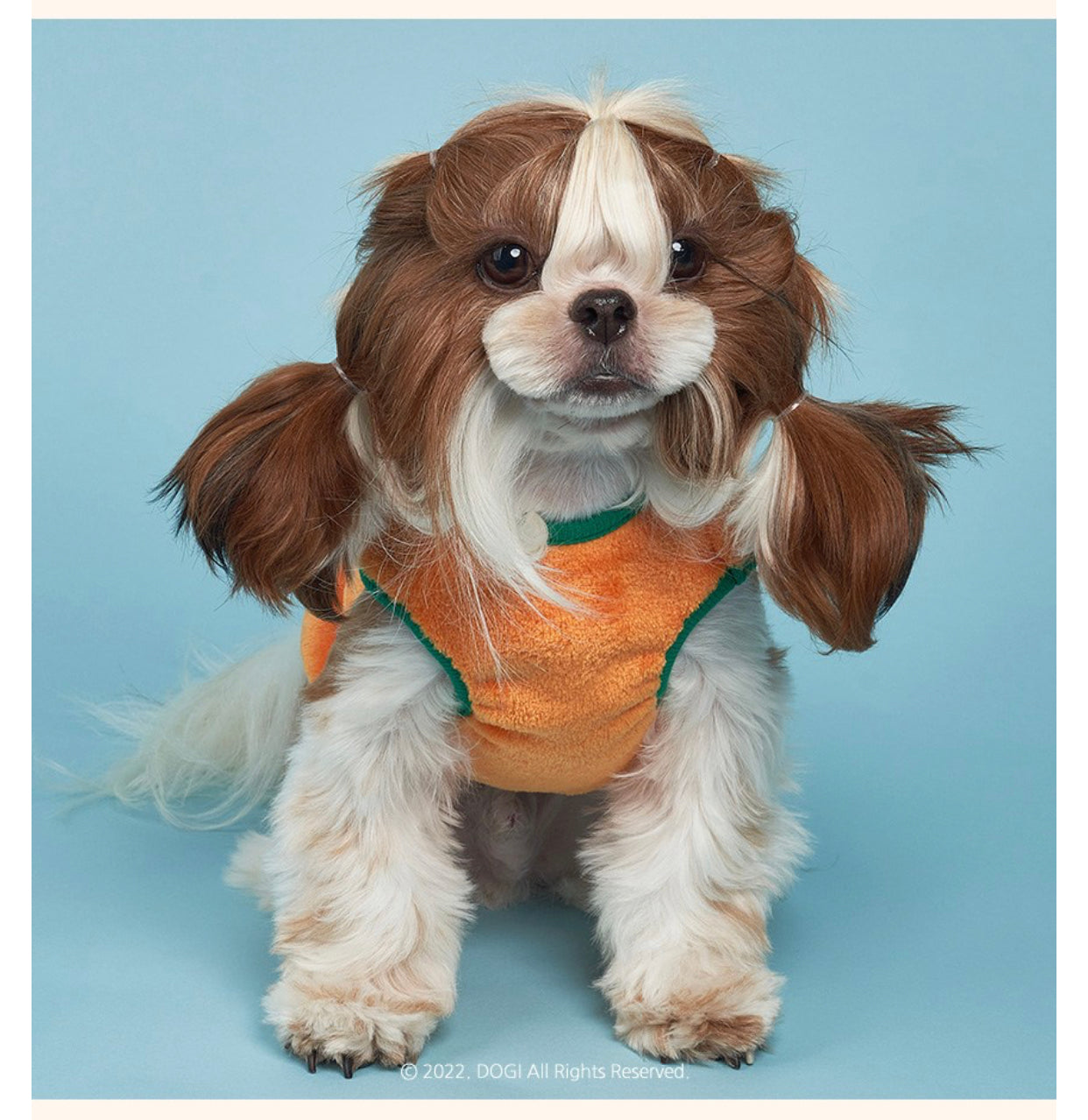 Carrot Dog Suit
