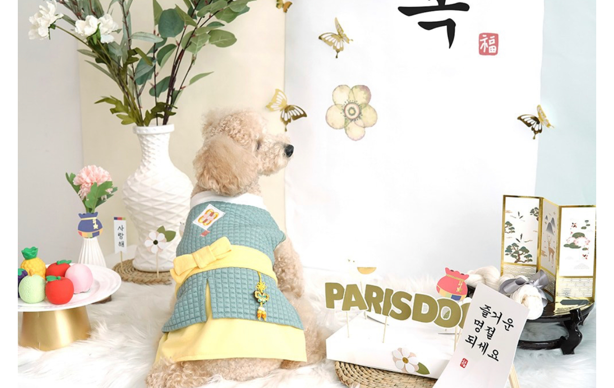 Green Modern Korean Hanbok Suit for Dogs