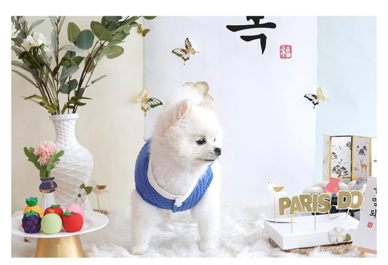 Blue Modern Korean Hanbok Suit for Dogs