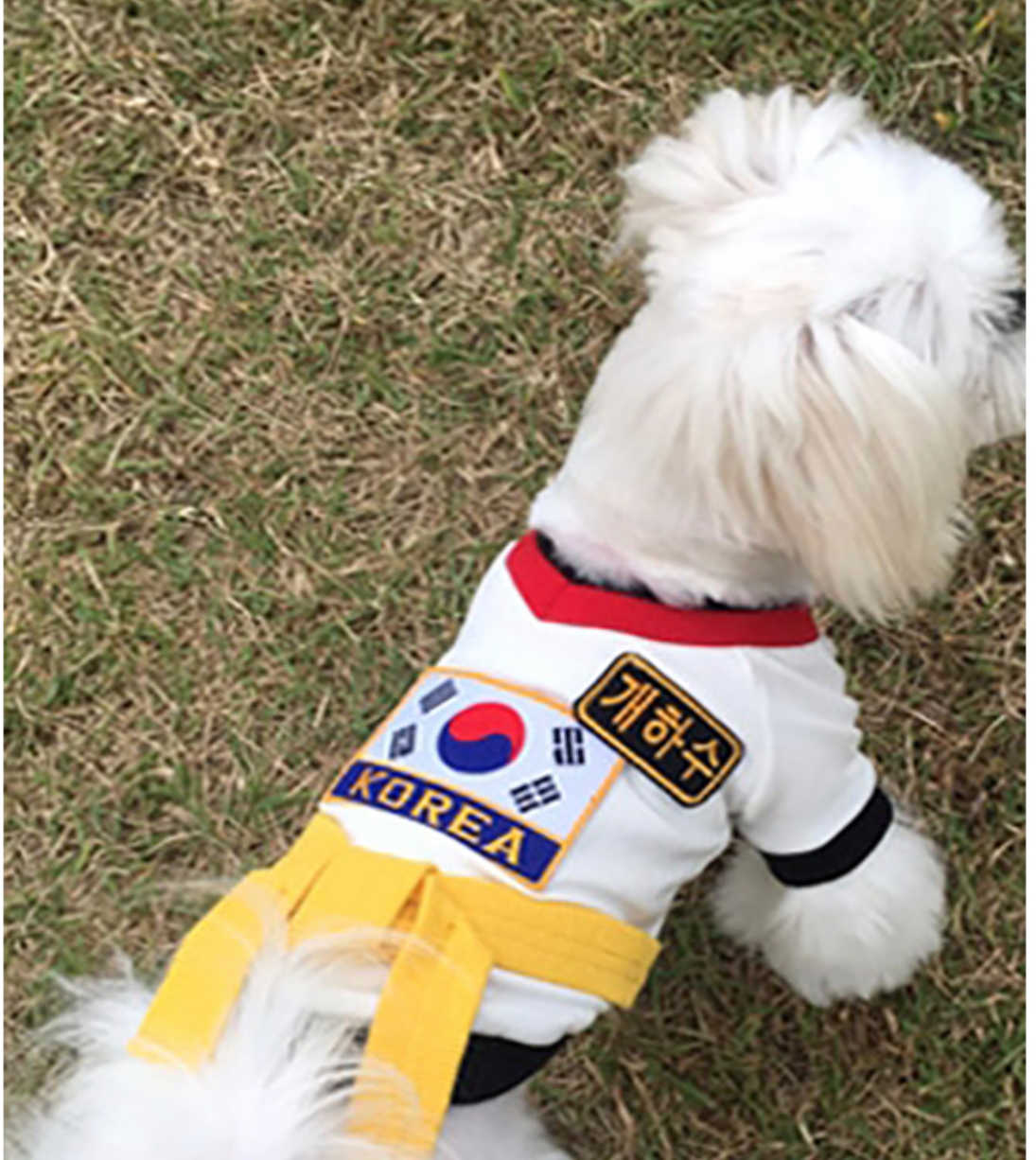 Tae Kwon Do Uniform