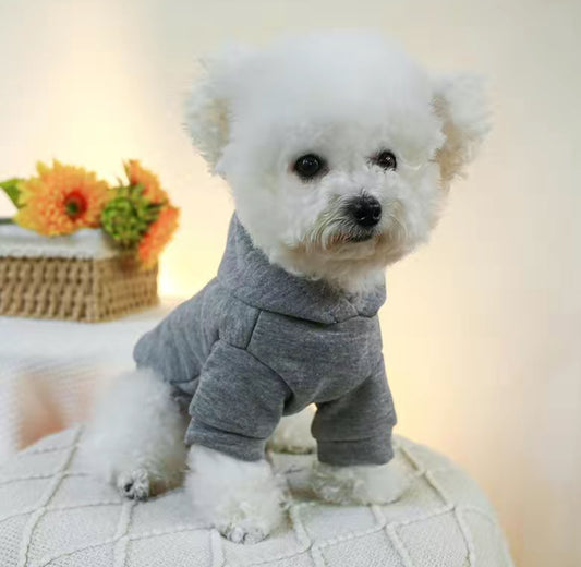 Christmas Tree Hoodie