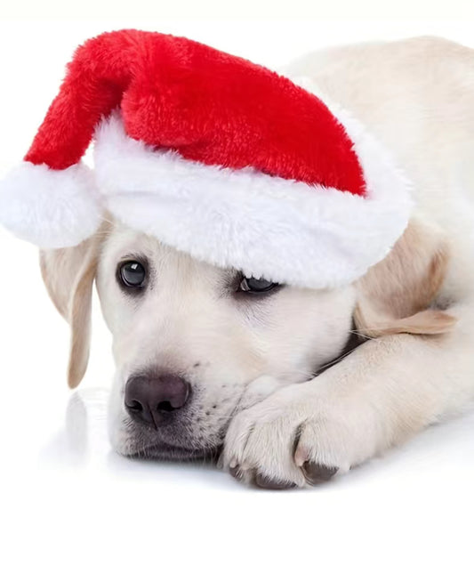 Santa Hat (one size)