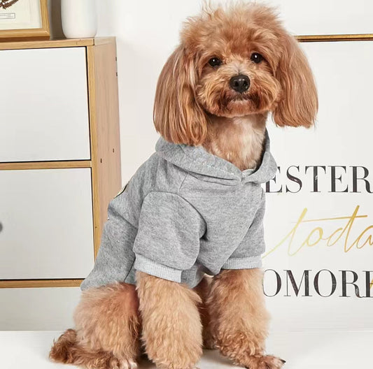 Sushiba Anime Hoodie