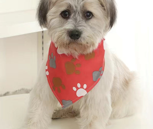 Bandana Scarf (one size)