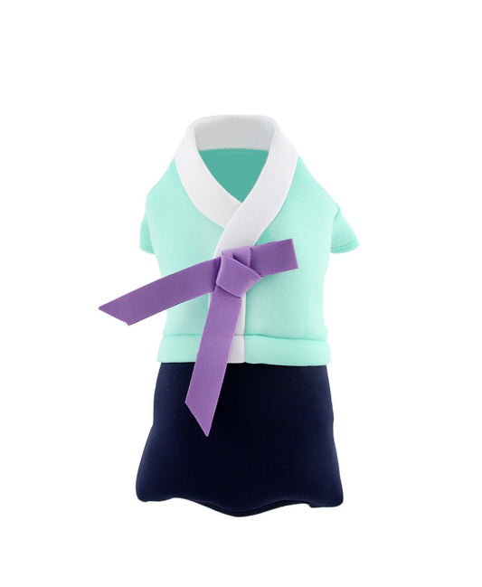 Korean Traditional Style Hanbok for Dog (Mint/Blue)