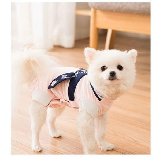 Korean Traditional Style Hanbok for Dog (Pink/Blue)