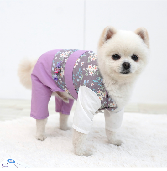 Hanbok Pant Suit