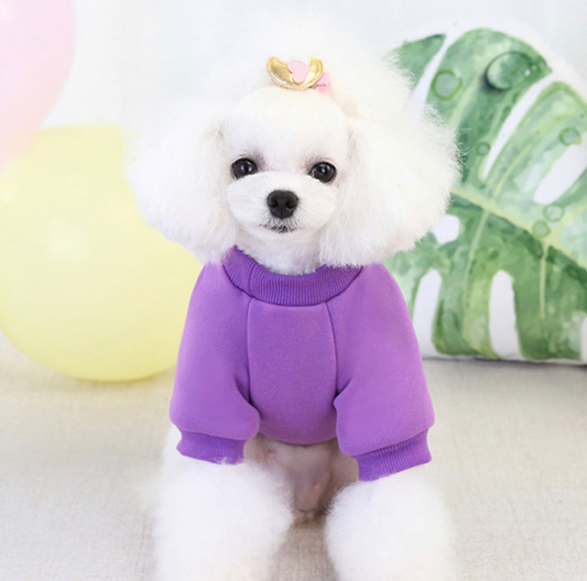 Carrot Shirt (Purple)