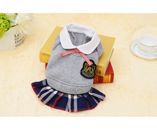 Gray School Uniform