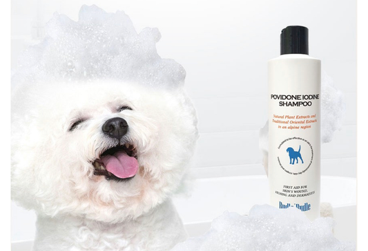 Povidone Iodine Shampoo