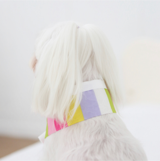 Hanbok Neck Cape (Pink)