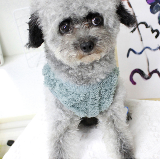 Microfiber Sweater Vest (Blue Green)