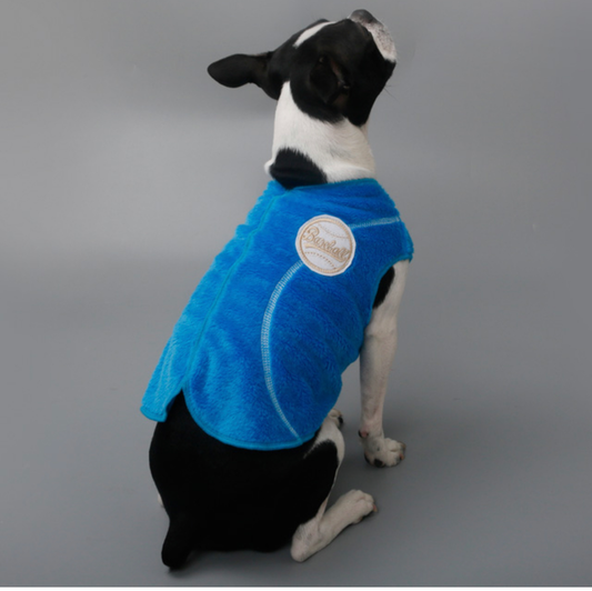 Blue Baseball Vest