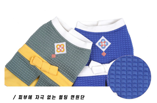 Green Modern Korean Hanbok Suit for Dogs