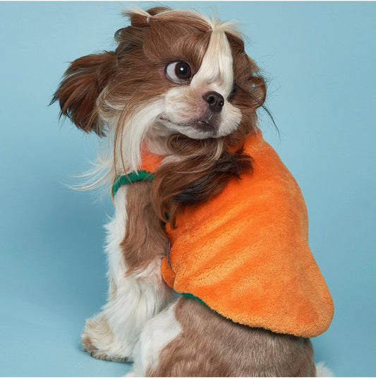 Carrot Dog Suit