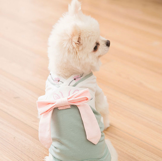 Korean Traditional Style Hanbok for Dog (Mint)