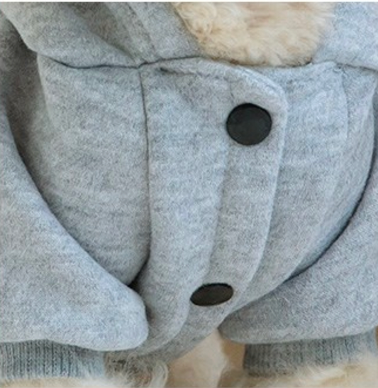 Gray Hoodie